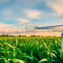 CropX Reinke Corn_0.jpg