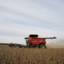 FILE PHOTO: Soybeans are harvested from a field on Hodgen Farm in Roachdale, Indiana, U.S. November 8, 2019. REUTERS/Bryan Woolston