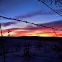 Dexter Ranch - PC Paige Carlson
