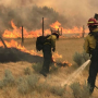 Wildfires 