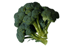Georgia growers have added broccoli acreage along with other crops not traditionally grown in the state in a bid to diversify.