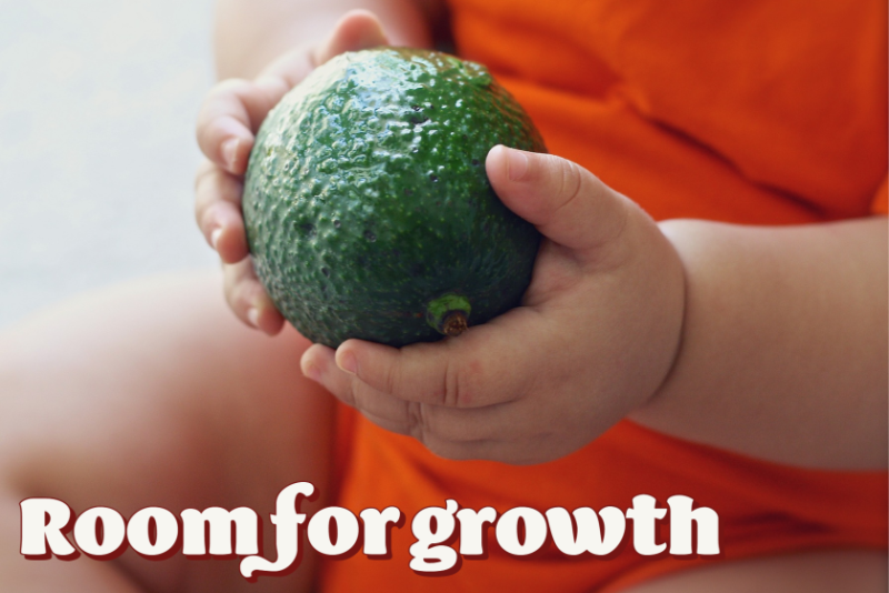 Avocados show room for growth in the U.S., Rabobank says.
