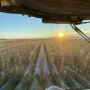 Harvest came to a halt in some areas seeing snow, while other farmers continued to roll on with corn. The sudden shift to winter weather may be short-lived. 
