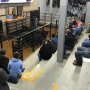 A feeder cattle auction in Northern Indiana.