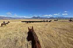 Scenic Mesa Ranch CO