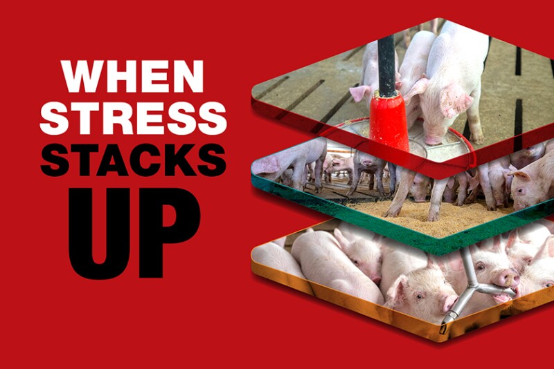 When Stress Stacks Up red