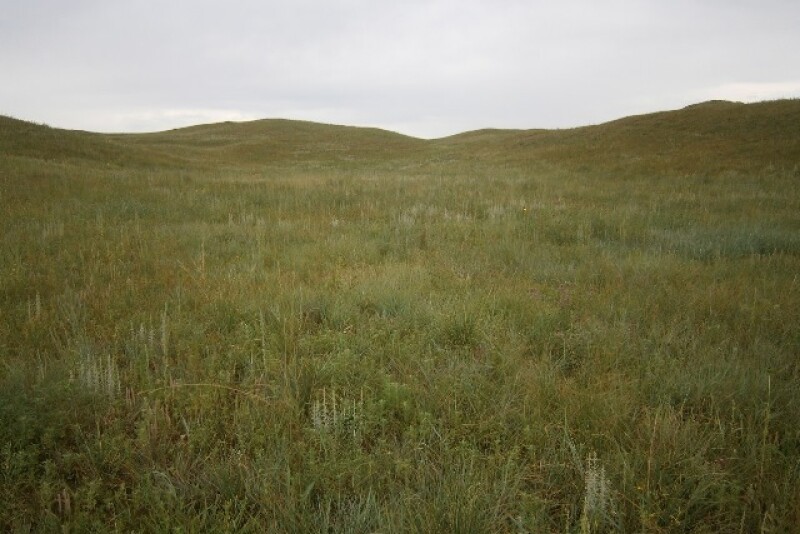While parts of the Midwest catch some much needed rains, other areas face dry conditions this growing season. Here's a look at the seasonal drought outlook and what it means for pasture and range conditions.