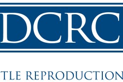 The Dairy Cattle Reproduction Council is focused on bringing together all sectors of the dairy industry – producers, consultants, academia and allied industry professionals – for improved reproductive performance.