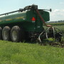 Noxious weeds such as Palmer amaranth can be spread via manure from cattle fed feed screening. 