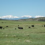 CAB_Montana-Ranch-22_840.jpg