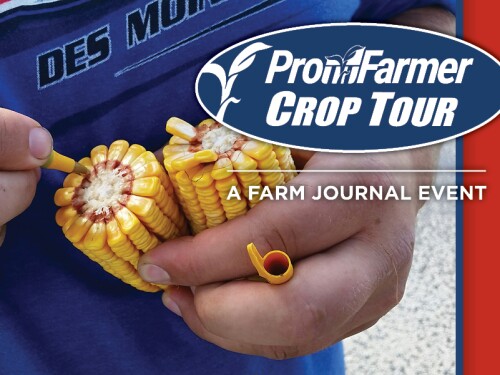 Pro Farmer Crop Tour got underway this morning in Ohio and South Dakota.