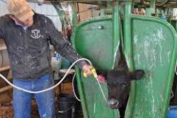 Deworming in the fall can help control internal and external parasites.