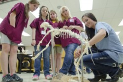 Mississippi_State_Vet_School