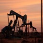 Oil Pumps