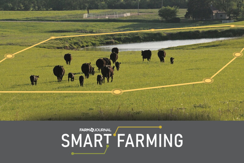 Building Virtual Fencing Beyond Barbed Wire: A Look At Virtual Fencing - Drovers