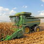 Corn head adjustments play a major role in combine performance.