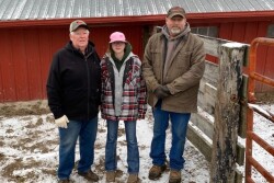 IowaHeifer2.jpg