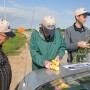 Crop Tour Sampling