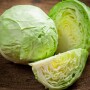 Cabbage