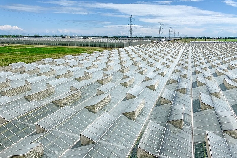 nff farms