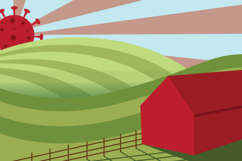USDA is continuing its rollout of aid to segments of the agriculture industry impacted by the COVID-19 pandemic. 