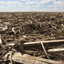 Reduced tillage supports carbon sequestration.