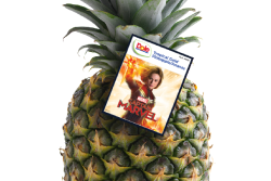 C71C52B7-57E9-4267-B9AE383BD3383252.png