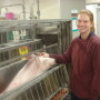 Swine Nutrition Farm - Iowa State