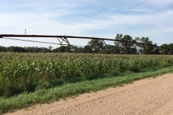 pivot corn irrigation irrigated corn south dakota SD crop tour 2016