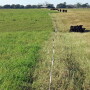 AU-Stockpiled-Bermuda-1