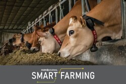 Dairy Smart Farming