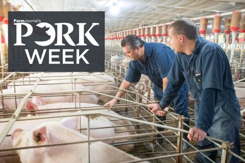PORK Week producers in sow barn