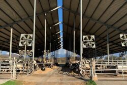 Glo-Crest Dairy