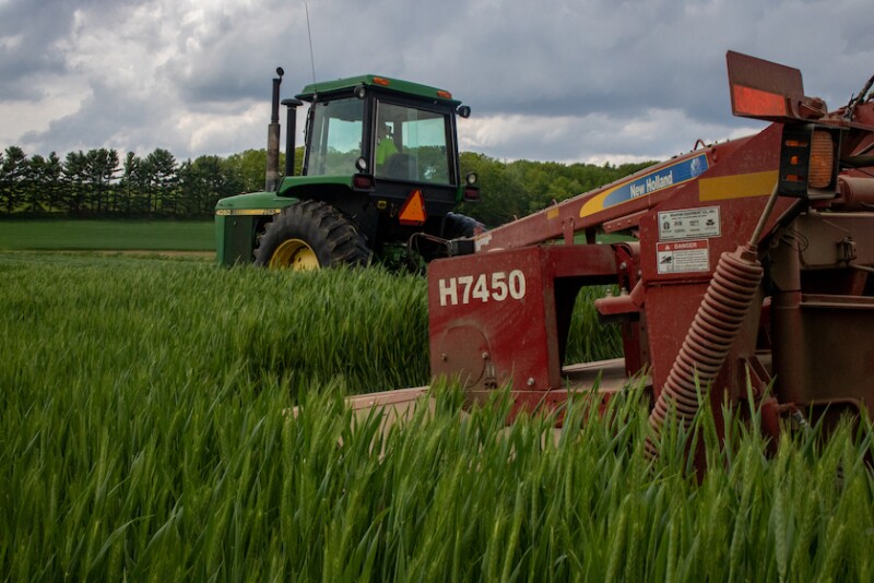  "We're eager to offer the retail system and its growers access to high-quality triticale seed and proud to be able to provide new products that can help support responsible agriculture practices," says Gary Nowaczyk.