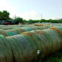 hay_bales