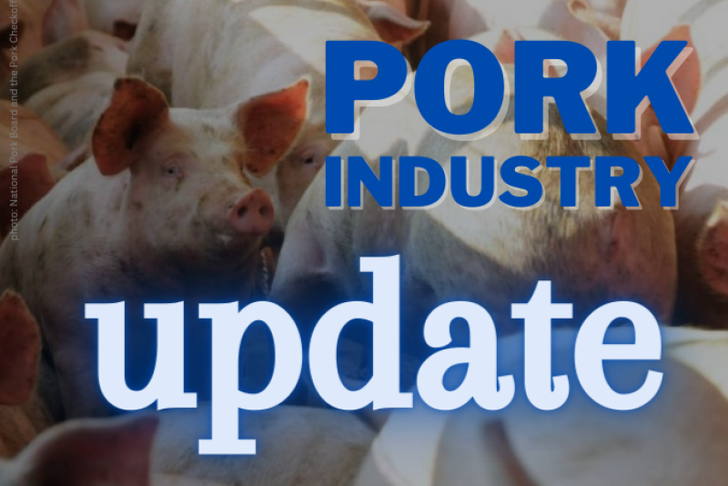 Company News