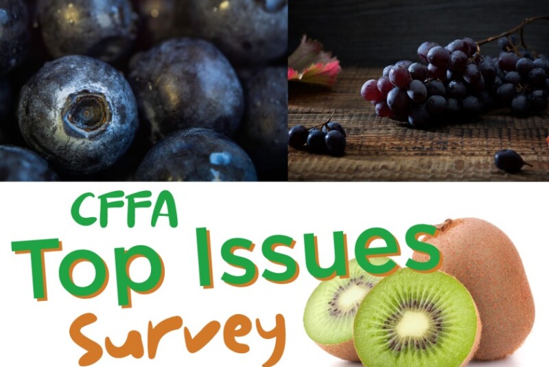 CFFA Top Issues Survey