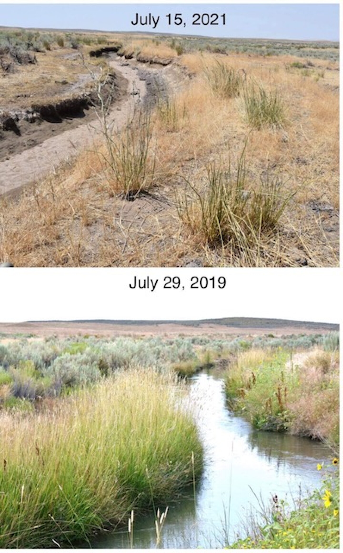 oregon%20pastures.JPG