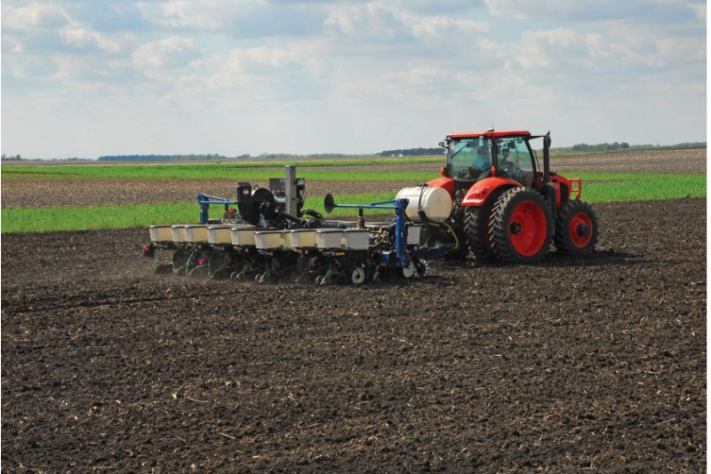 planting