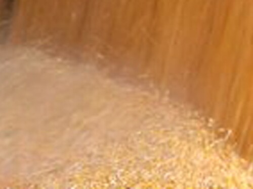  Farm Exports Boost Rural Mainstreet Economy