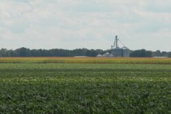 farm-grain-bins-corn-soybeans