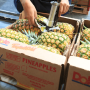 Dole pineapple packing