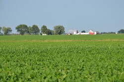 Vilsack said that the agriculture industry accounts for about 9 percent of U.S. emissions, adding that compares favorably with the rest of the globe but can be improved.