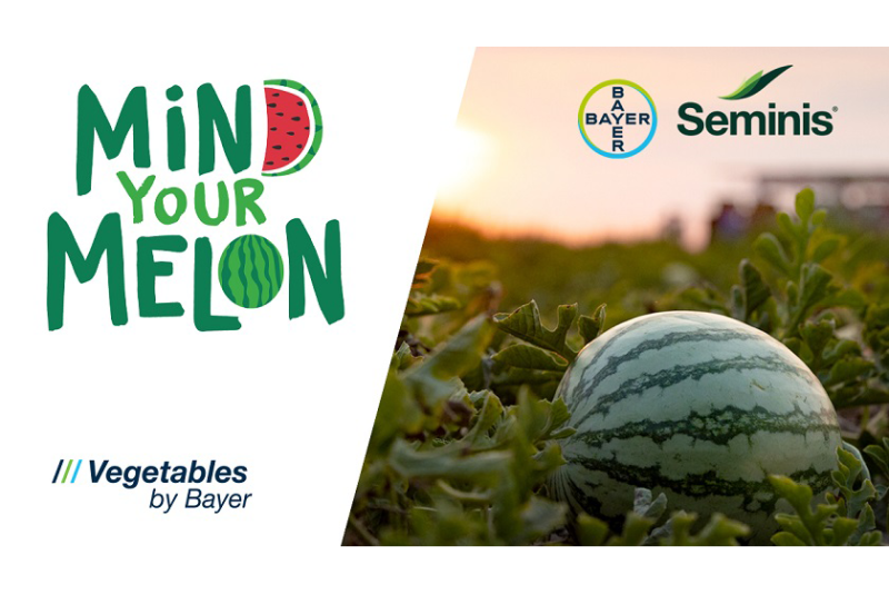 mind your melon