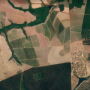 PlanetScope imagery of can help farmers scout for weeds, pests and diseases, as well as nutrient and water stress. © 2021, Planet Labs Inc