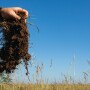 Soil.2024-02-12_18-14-20-2.jpg