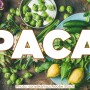 PACA