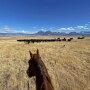 Scenic Mesa Ranch CO