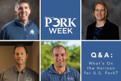 PORK Week Veterinarians