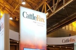 CattleFax logo